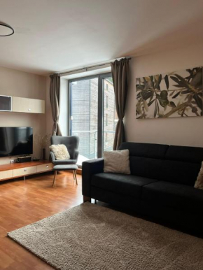 Apartment Mumlava falls